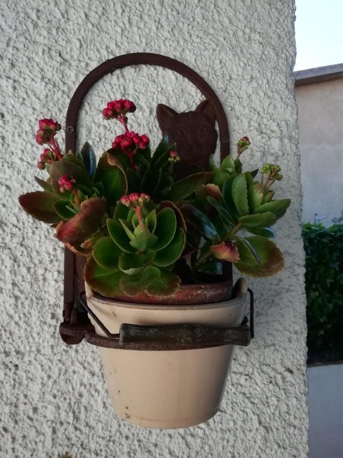 올비아 Casa Molara 아파트 외부 사진